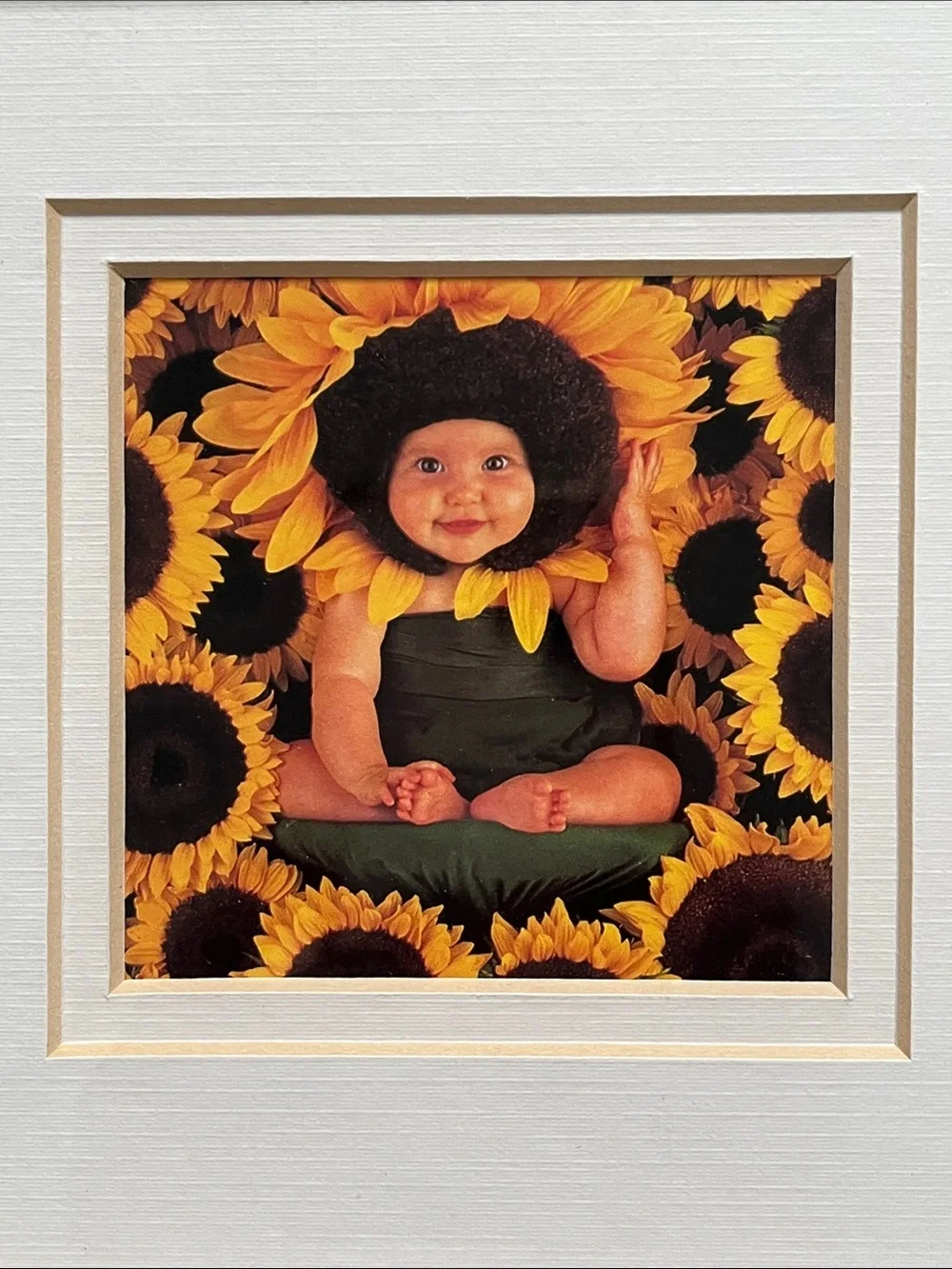 Anne Geddes Sunflower Baby Small Framed Print